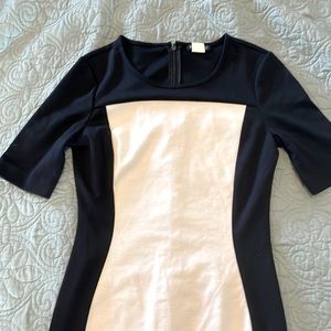 Venus form fitting just past the knee dress